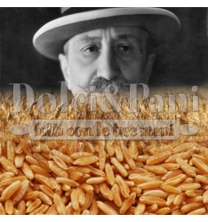 Semola Integrale di Grano Duro Senatore Cappelli