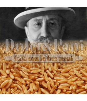 Semola Integrale di Grano Duro Senatore Cappelli