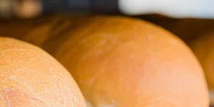 Qual'è l'azione del lievito di birra nell'impasto?