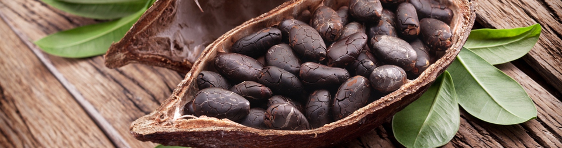 Il cioccolato: dalle origini ai giorni nostri Il cioccolato: dalle origini ai giorni nostri