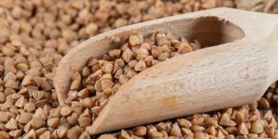 Le proprietà del grano saraceno Le proprietà del grano saraceno