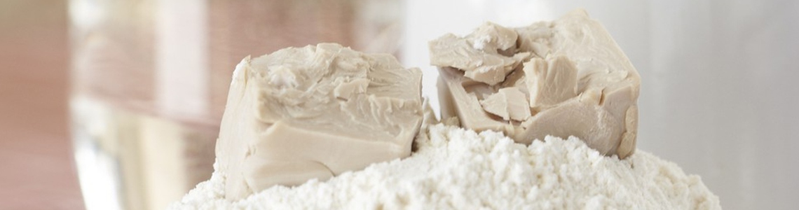 Come fare per accelerare la lievitazione in casa del pane in caso di necessità? Come fare per accelerare la lievitazione in casa del pane in caso di necessità?
