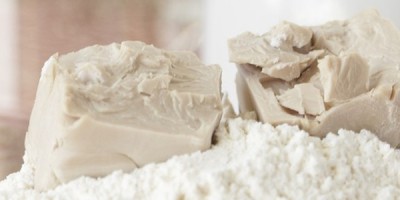 Come fare per accelerare la lievitazione in casa del pane in caso di necessità? Come fare per accelerare la lievitazione in casa del pane in caso di necessità?