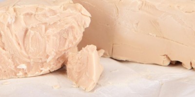 Sulla lievitazione, quanti tipi di lievito esistono? Sulla lievitazione, quanti tipi di lievito esistono?