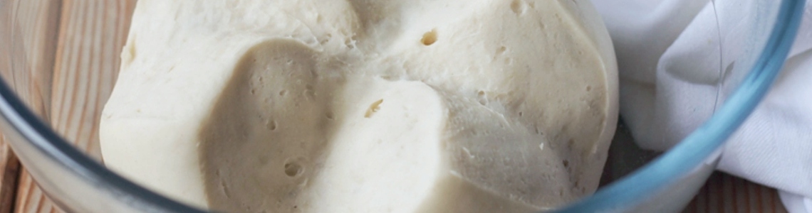 La pasta madre (o lievito naturale) La pasta madre (o lievito naturale)