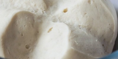 La pasta madre (o lievito naturale) La pasta madre (o lievito naturale)