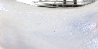 Che cos'è la "maglia glutinica"? Che cos'è la "maglia glutinica"?