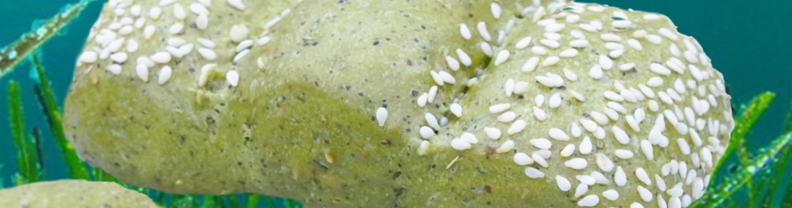 L'Alga Spirulina L'Alga Spirulina