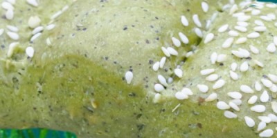 L'Alga Spirulina L'Alga Spirulina