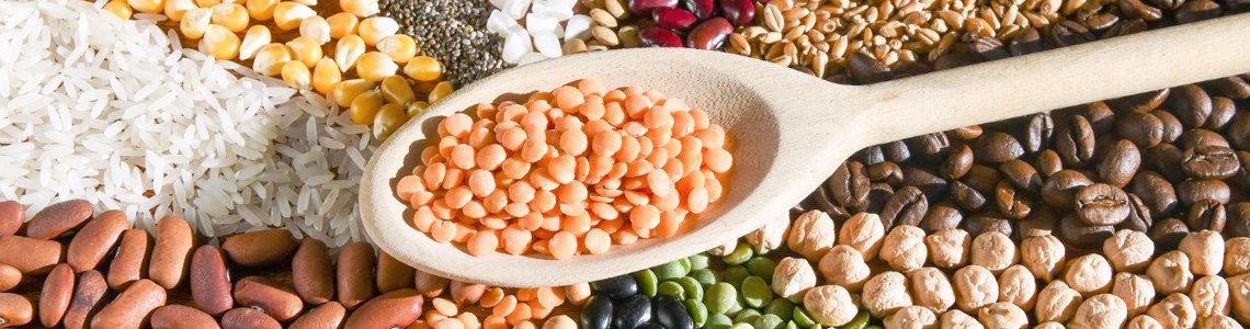Tanti semi interessanti per la nostra dieta Tanti semi interessanti per la nostra dieta