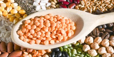 Tanti semi interessanti per la nostra dieta Tanti semi interessanti per la nostra dieta
