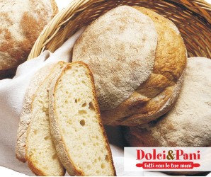 Pane pugliese rustico con crosta dorata e mollica porosa, da semola di Altamura