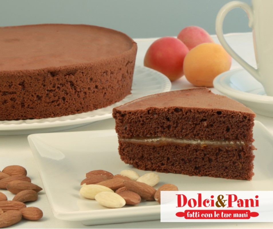 Preparato per base Sacher al cacao e mandorle da farcire con albicocca e cioccolato Preparato per base Sacher al cacao e mandorle da farcire con albicocca e cioccolato
