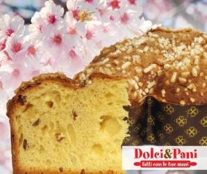 Aroma per Colomba in gel