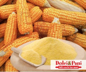 Farina di Mais Giallo Farina di Mais Giallo