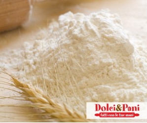 Farina Manitoba Farina Manitoba