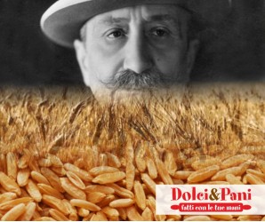 Farina biologica di grano duro Senatore Cappelli 100% italiana Farina biologica di grano duro Senatore Cappelli 100% italiana