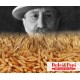 Farina biologica di grano duro Senatore Cappelli 100% italiana Farina biologica di grano duro Senatore Cappelli 100% italiana