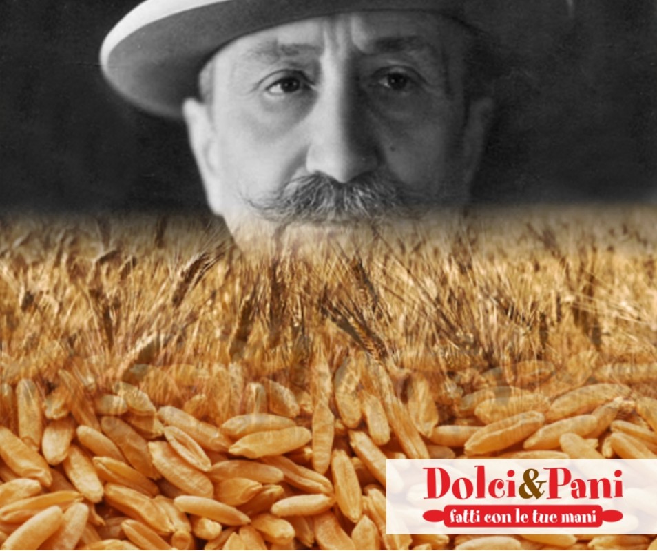 Farina biologica di grano duro Senatore Cappelli 100% italiana Farina biologica di grano duro Senatore Cappelli 100% italiana