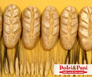 Pane con Grano Senatore Cappelli, Saraceno e Grano Farro