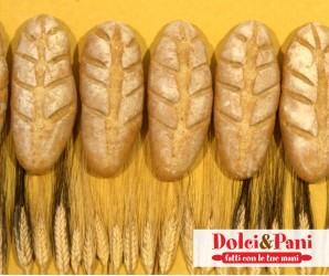 Pane con Grano Senatore Cappelli, Saraceno e Grano Farro Pane con Grano Senatore Cappelli, Saraceno e Grano Farro