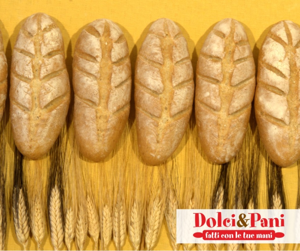 Pane con Grano Senatore Cappelli, Saraceno e Grano Farro Pane con Grano Senatore Cappelli, Saraceno e Grano Farro