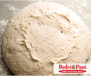 Lievito Madre con aggiunta di Lievito Secco Lievito Madre con aggiunta di Lievito Secco