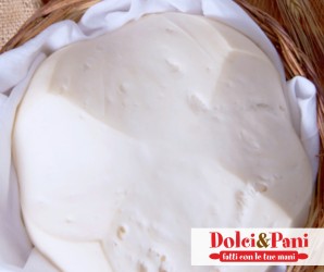 Preparazione di panettone vegano con lievito naturale VEGANBEL MADRE