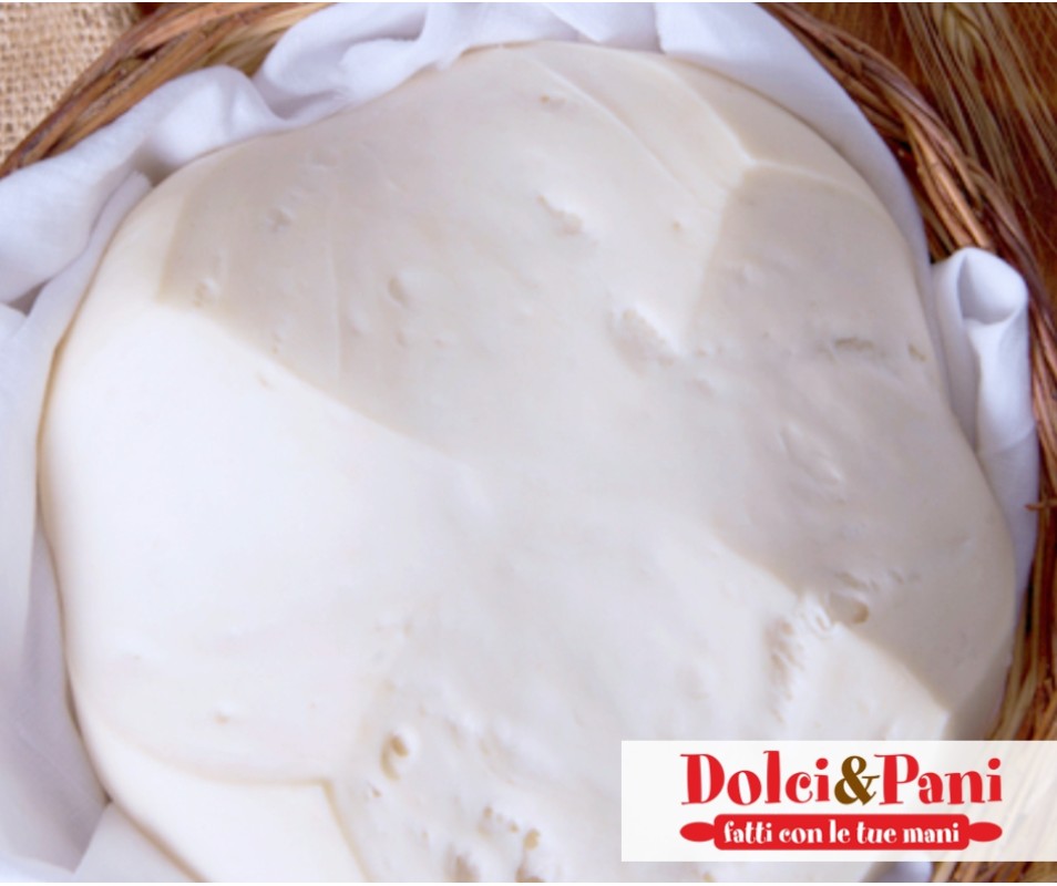 Preparazione di panettone vegano con lievito naturale VEGANBEL MADRE Preparazione di panettone vegano con lievito naturale VEGANBEL MADRE