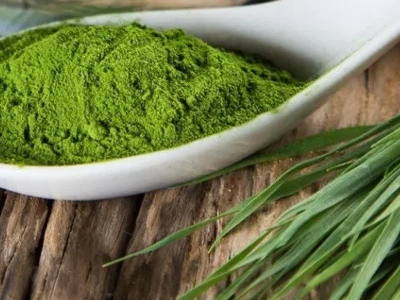 L'Alga Spirulina trattata in polvere