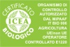 logo ICEA