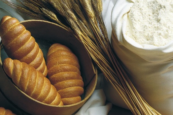 Pane Antico di grano tenero, grano duro, avena e orzo